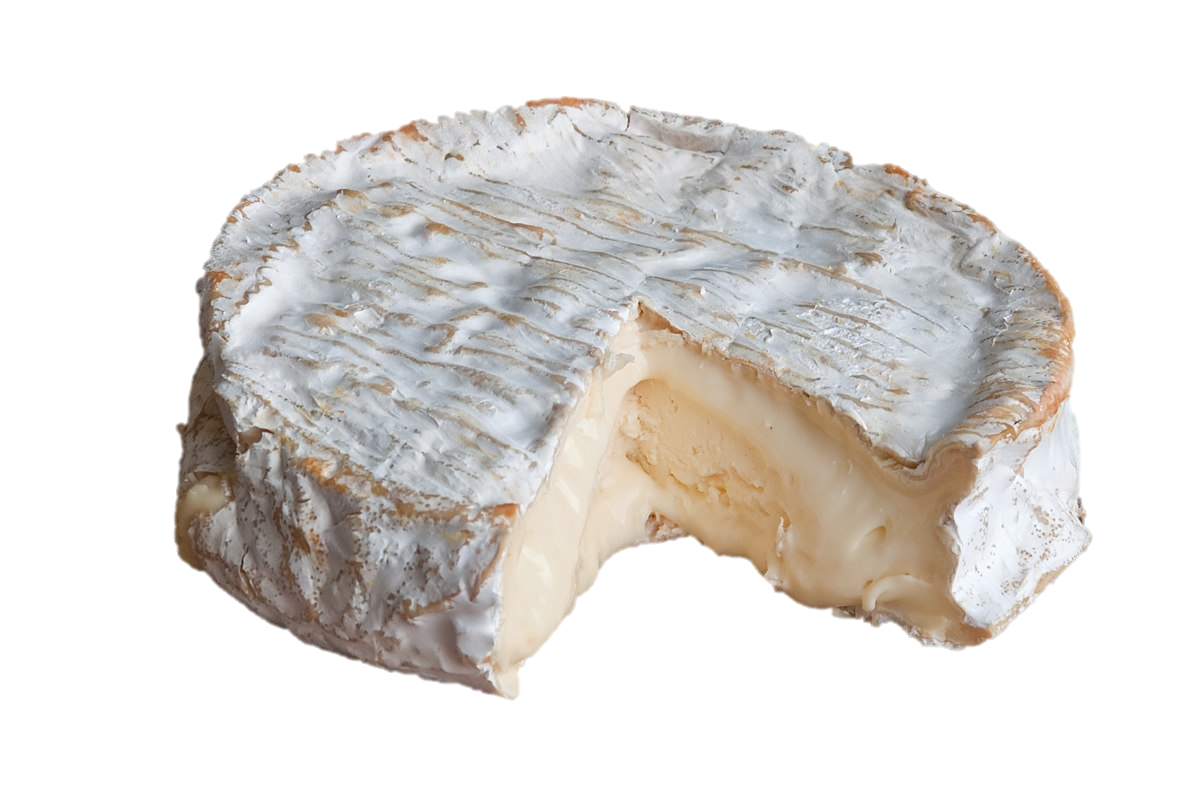 Coulommiers Templier (RM) - 約 500g