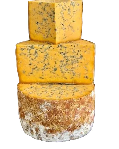 Colston Bassett Shropshire Blue